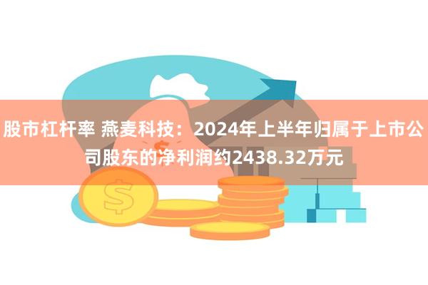 股市杠杆率 燕麦科技:2024年上半年归属于上市公司股东的净利润约2438.32万元
