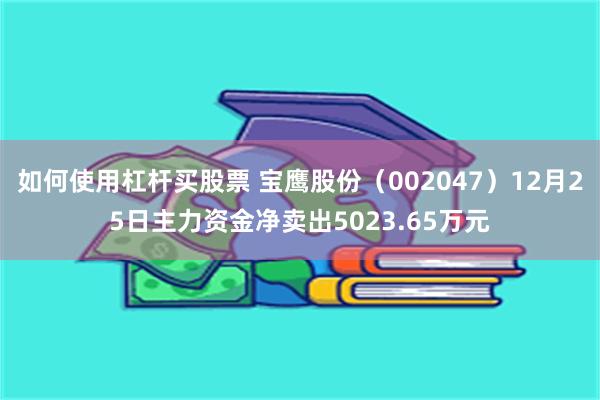 如何使用杠杆买股票 宝鹰股份（002047）12月25日主力资金净卖出5023.65万元