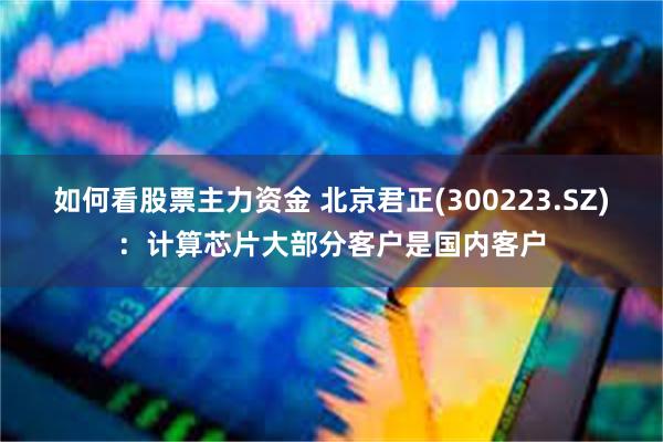 如何看股票主力资金 北京君正(300223.SZ)：计算芯片大部分客户是国内客户