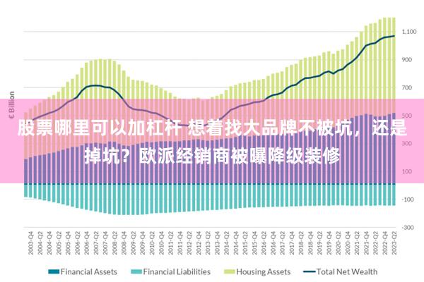 股票哪里可以加杠杆 想着找大品牌不被坑，还是掉坑？欧派经销商被曝降级装修