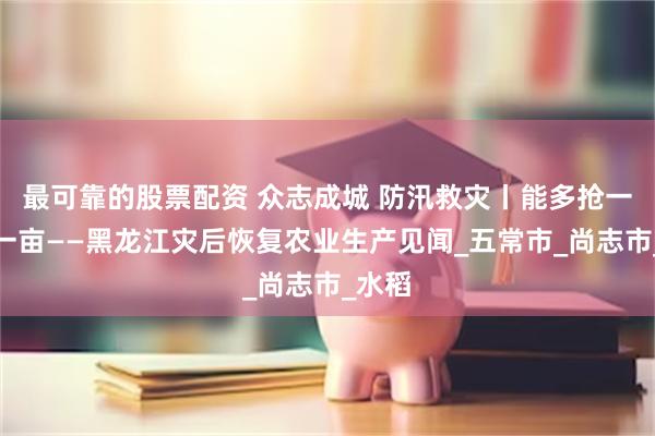 最可靠的股票配资 众志成城 防汛救灾丨能多抢一亩是一亩——黑龙江灾后恢复农业生产见闻_五常市_尚志市_水稻