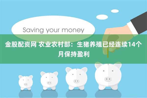 金股配资网 农业农村部：生猪养殖已经连续14个月保持盈利