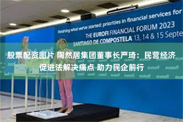 股票配资图片 陶然居集团董事长严琦：民营经济促进法解决痛点 助力民企前行