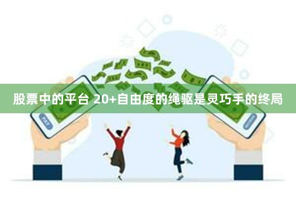 股票中的平台 20+自由度的绳驱是灵巧手的终局